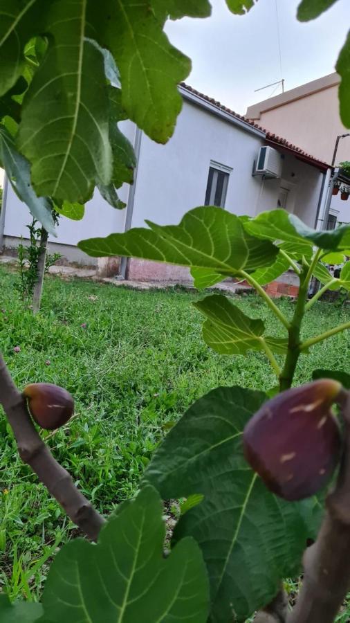 Apardibra Daire Bar Dış mekan fotoğraf